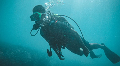 Post Image Where to Take Scuba Diving Classes in the Midlands UK SCUBA SHACK - Where to Take Scuba Diving Classes in the Midlands, UK